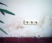 Remontées capillaires : mur humide intérieur avant traitement